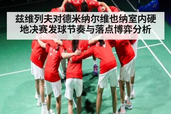 兹维列夫对德米纳尔维也纳室内硬地决赛发球节奏与落点博弈分析