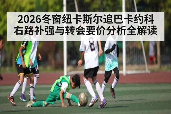 2026冬窗纽卡斯尔追巴卡约科右路补强与转会要价分析全解读